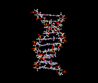 dna