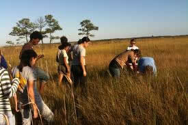 environmental science trip