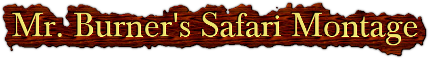 Mr. Burner's Safari Montage